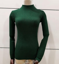 Load image into Gallery viewer, 8 colors 2019 Autumn Women lady sweater high elastic Solid Turtleneck sweater women slim sexy tight Bottoming Knitted Pullovers